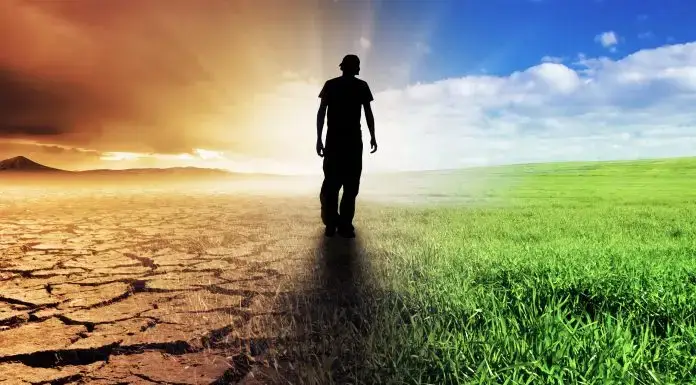 Dokonanie wielkiej życiowej zmiany, czyli słów kilka o syndromie Gauguina…