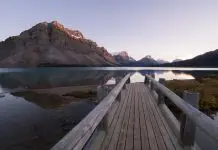 Eliminacja stresu może zaszkodzić!