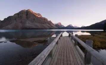 Wywiad z Renatą Myczką, certyfikowanym coachem kryzysowym