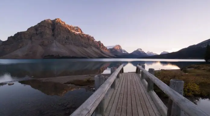 Wywiad z Renatą Myczką, certyfikowanym coachem kryzysowym